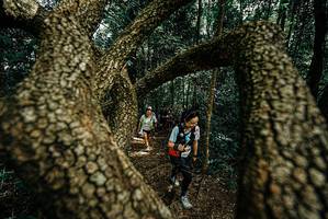 BIB: 
                            <button type="button" onclick="openModal(25701663)" class="btn btn-primary btn-sm float-right btn-popup" data-toggle="modal" data-target=".modal-high-quality">
                        <i class="fas fa-shopping-cart"></i> Add to Cart
                    </button>
                                            <button type="button" onclick="isThisMe(25701663, true)" class="btn btn-success btn-sm float-right btn-popup btn-isme hidden" data-toggle="tooltip" data-placement="bottom" title="นี่คือรูปของคุณใช่ไหม คลิกที่นี่เพื่อเอาเข้าอัลบั้ม">
                        <i class="fas fa-plus"></i> Add to album
                    </button>
                    <button type="button" onclick="isThisMe(25701663, false)" class="btn btn-warning btn-sm float-right btn-popup btn-isnotme hidden">
                        <i class="fas fa-ban"></i> Remove from album
                    </button>